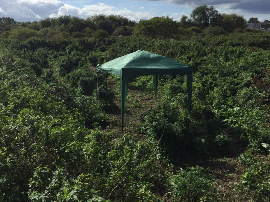 There was even a gazebo set up