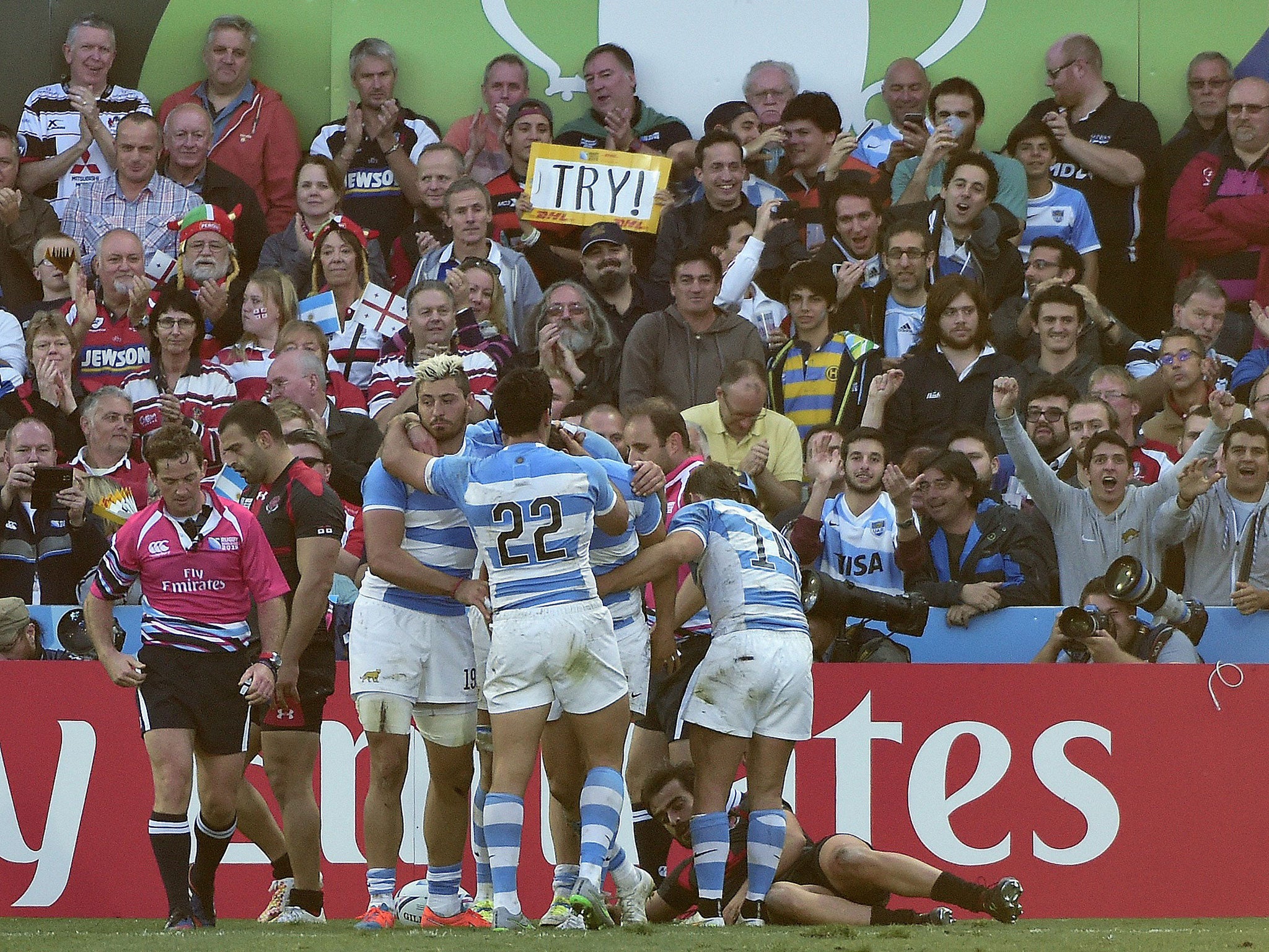 Argentina celebrate Juan Inhoff's try against Georgia