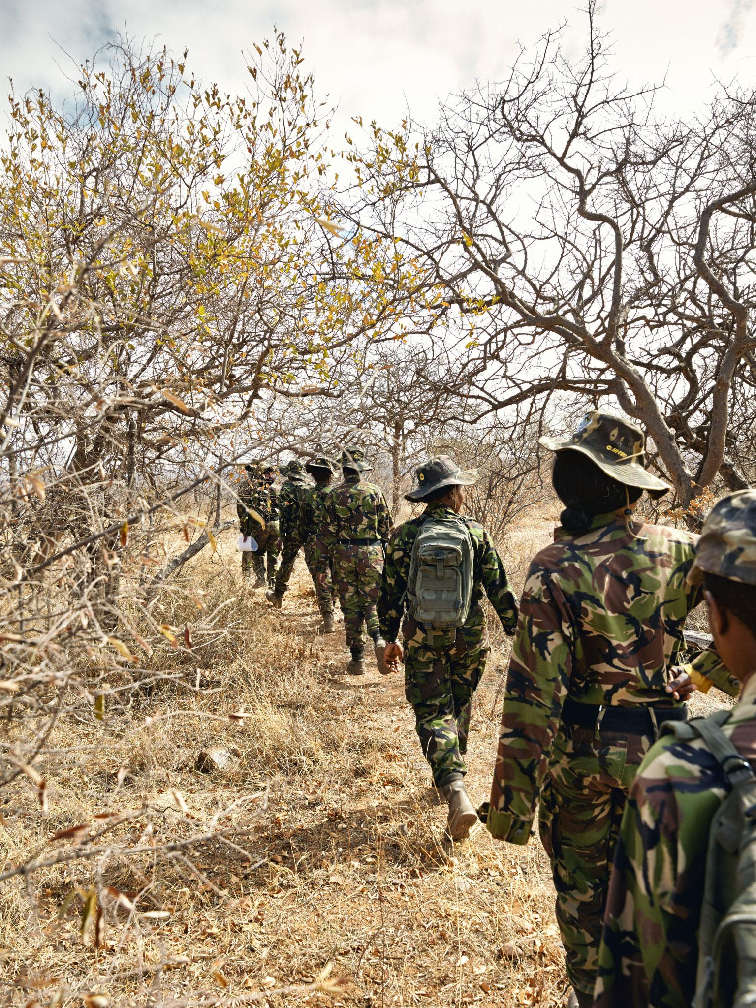 Mambas on the march. The unit has so far removed more than 1,000 poachers’ snares, and been awarded the UN’s Champions of the Earth award Julia Gunther