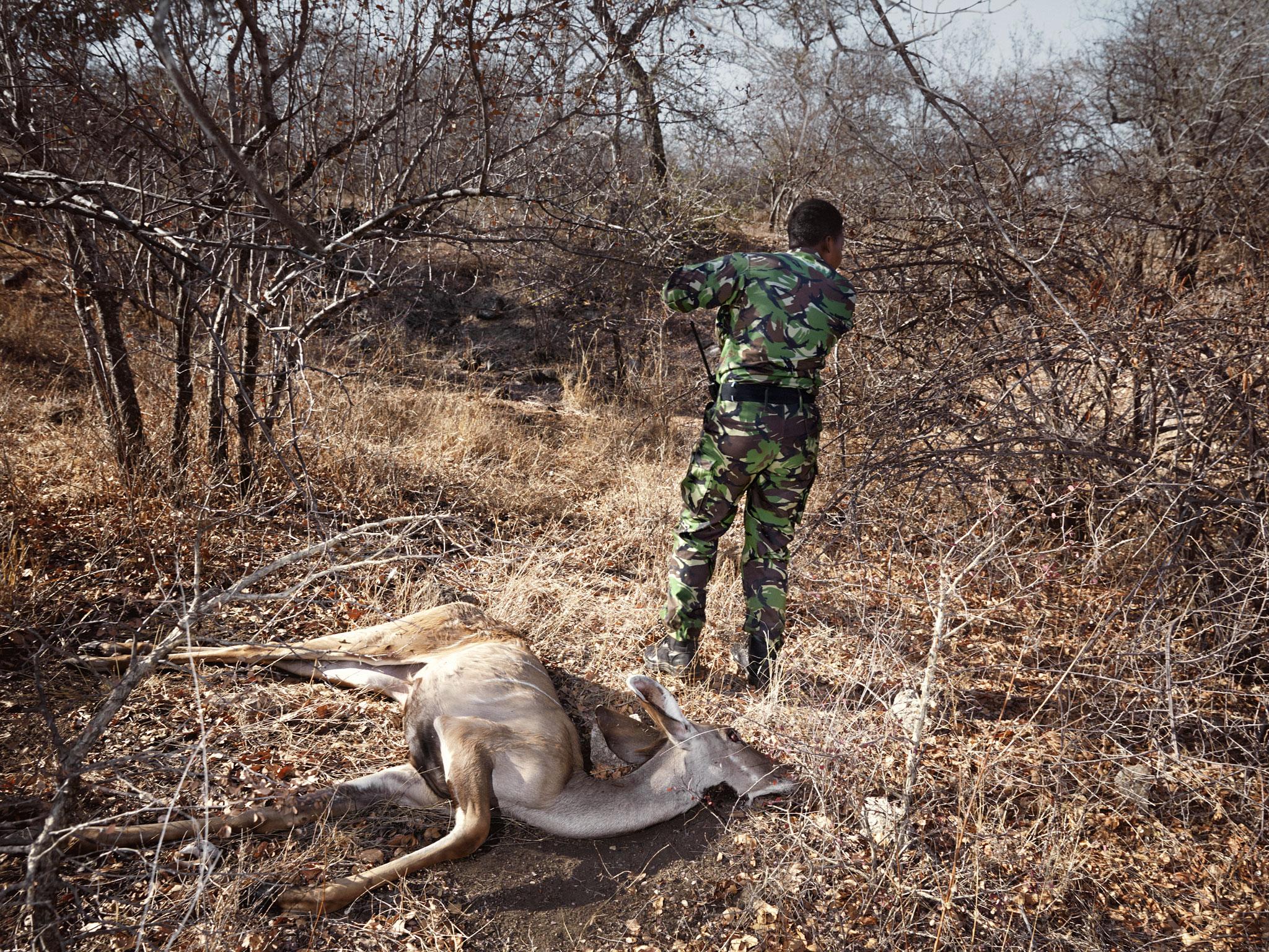 Yenzekile reports the location of a young, slain kudu to the control room Julia Gunther