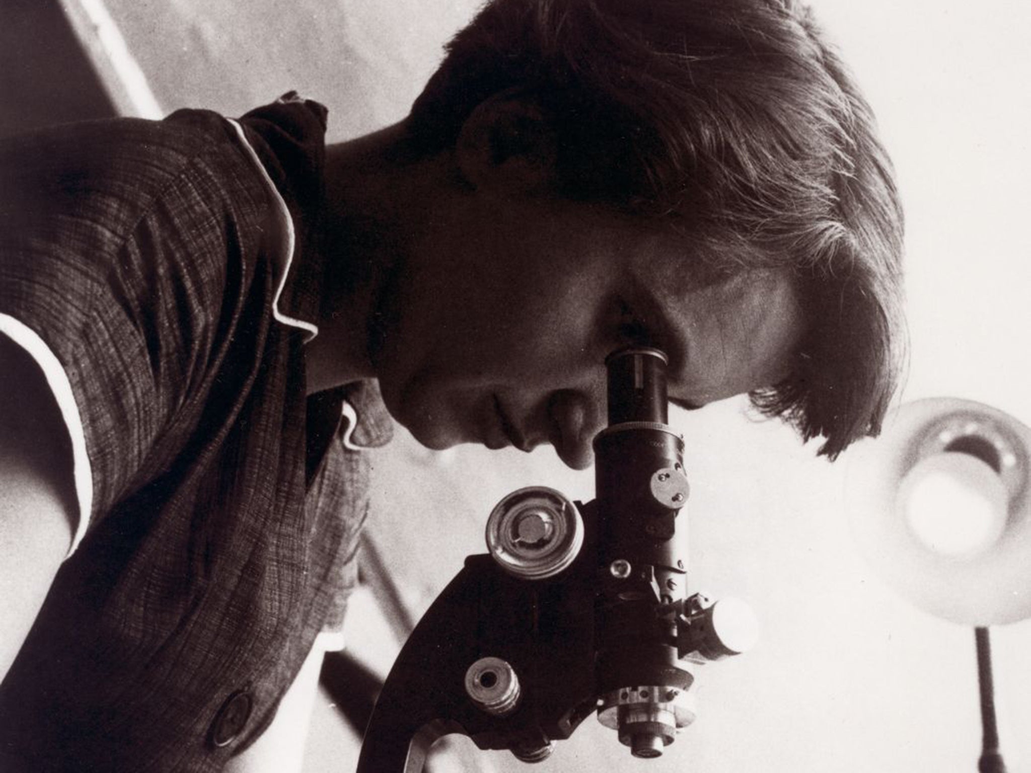 The real Rosalind Franklin