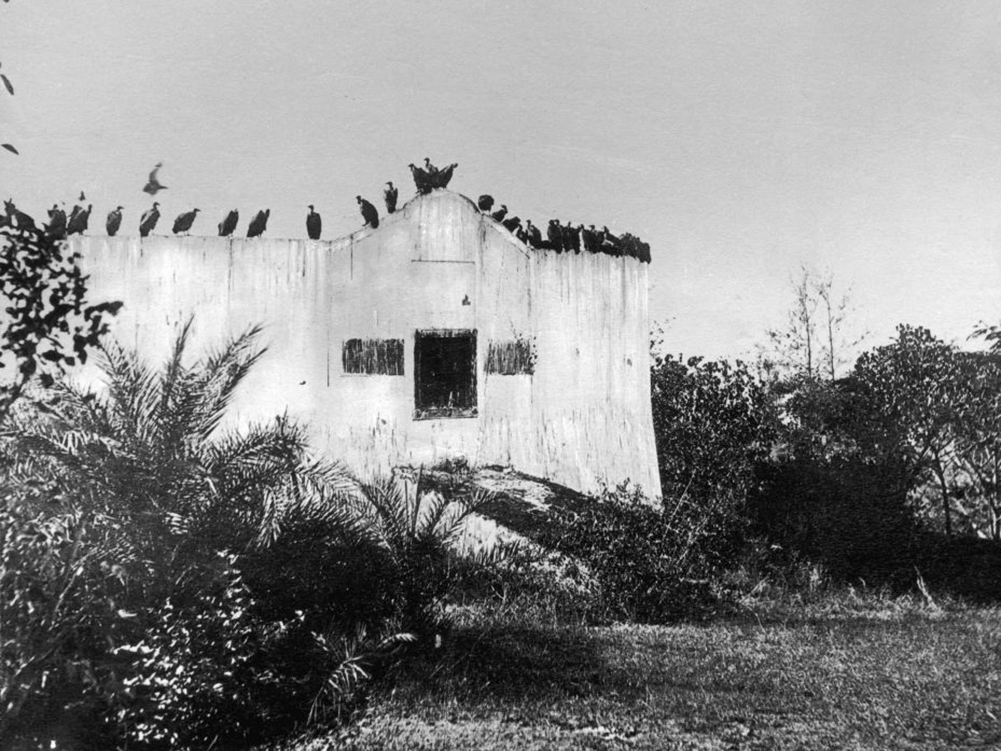 A vulture-festooned Parsi temple near Bombay, circa 1955