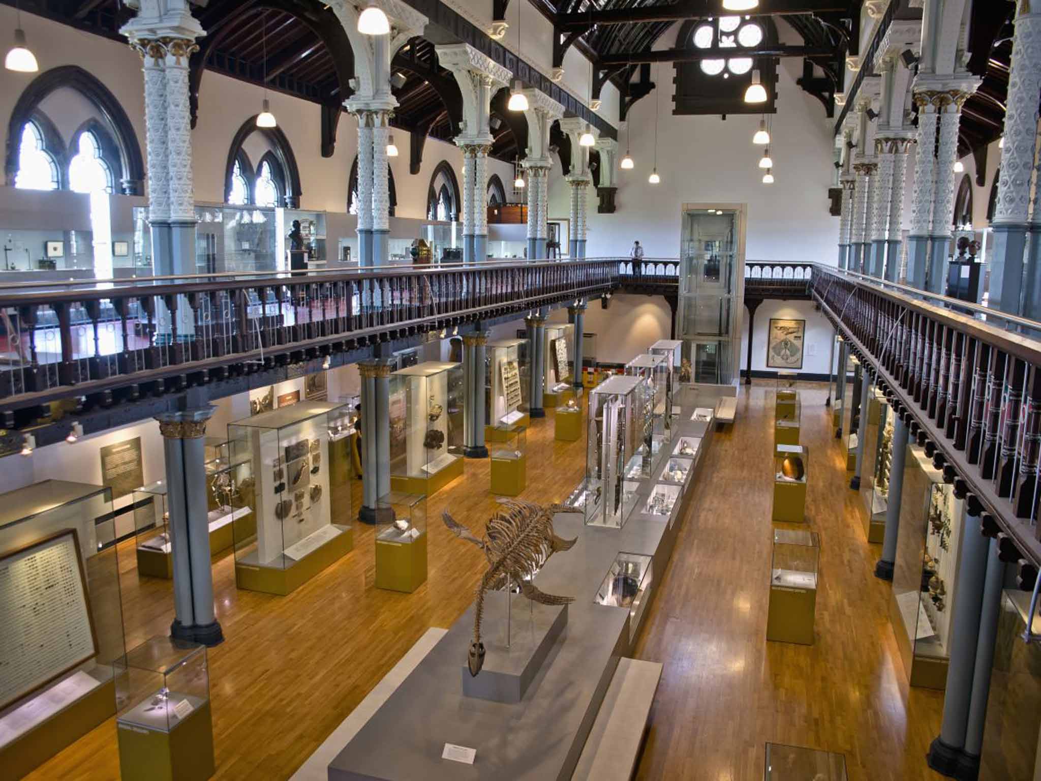 The Hunterian Museum and Art Gallery