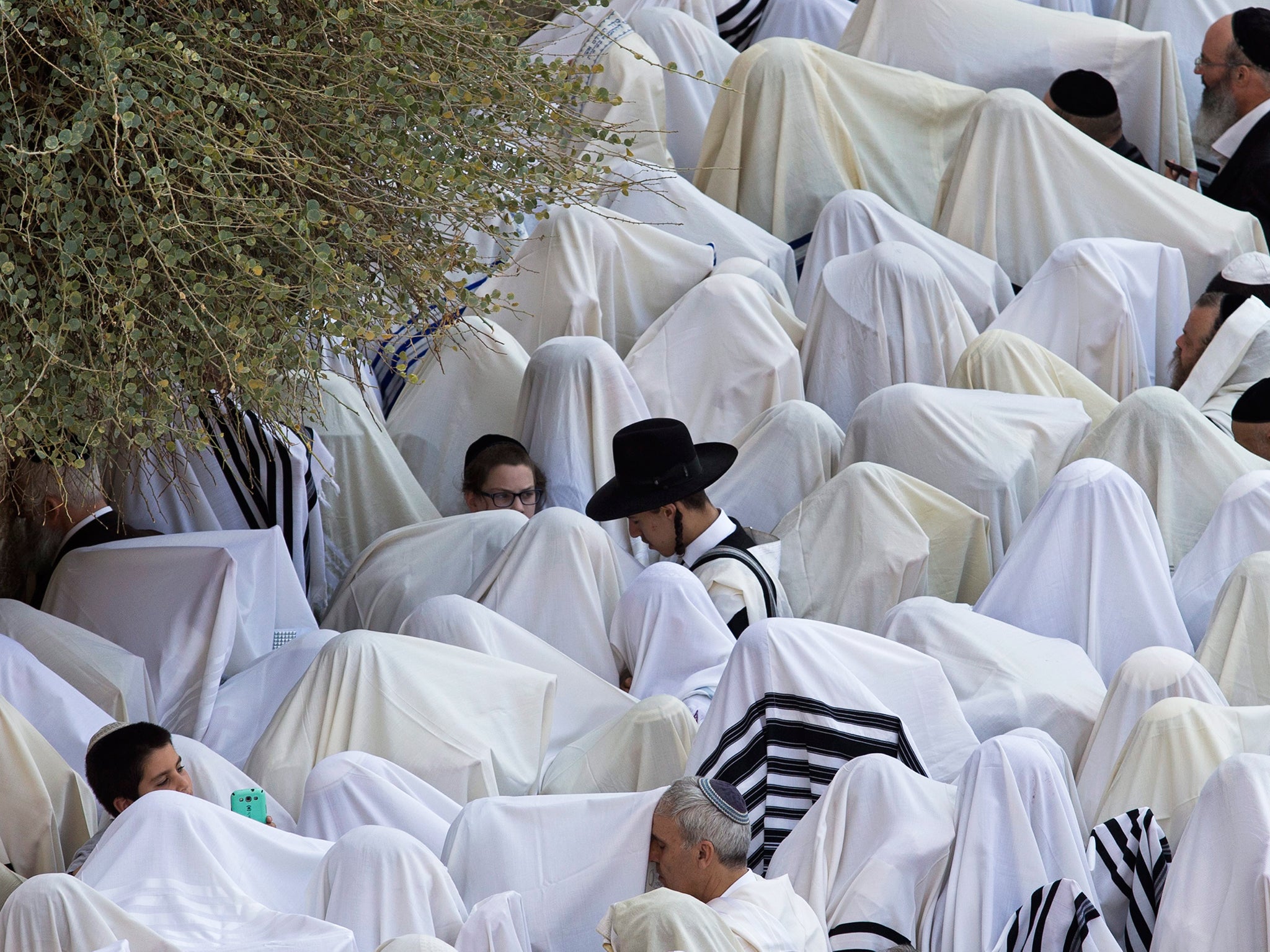 Ultra-Orthodox Jews cover their heads with their prayer shawls and carry the 'four species' during special prayers at the Western Wall, one of Judaism's holiest site