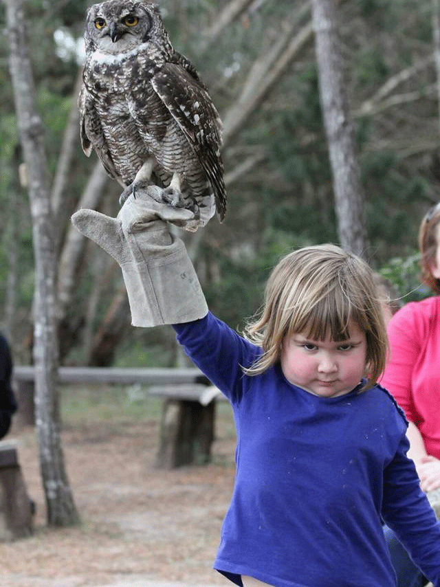 The girl in the original photo of her holding the owl