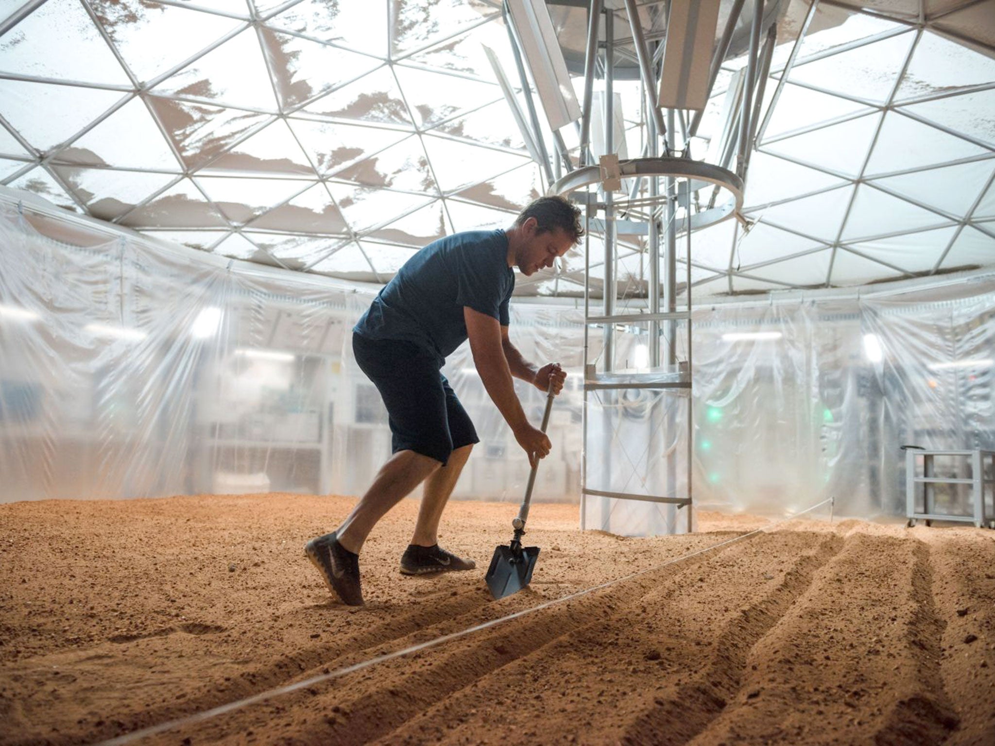 Watney starts his own allotment, which he tends with a Jeremy Corbyn-like diligence