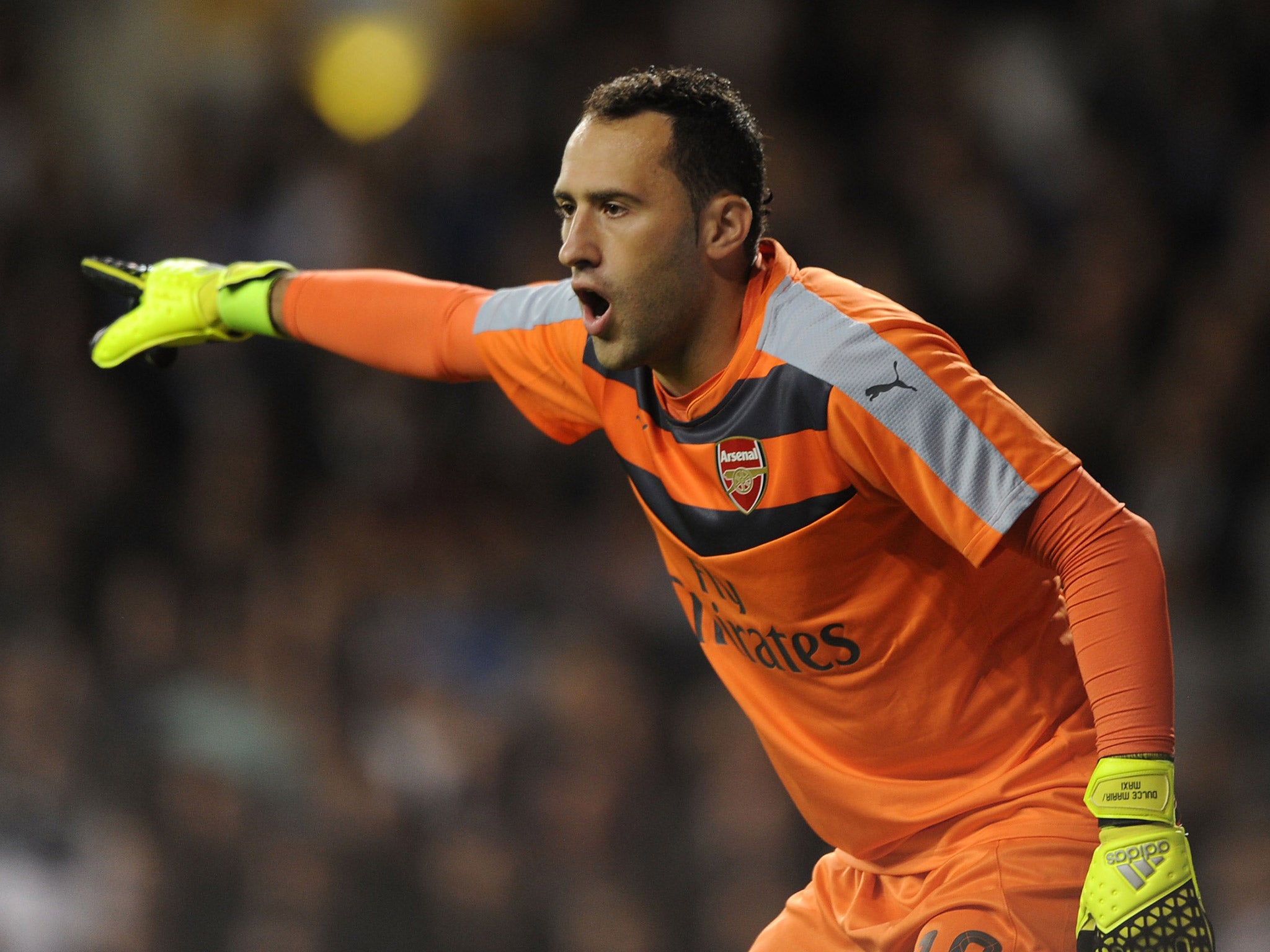 Arsenal goalkeeper David Ospina