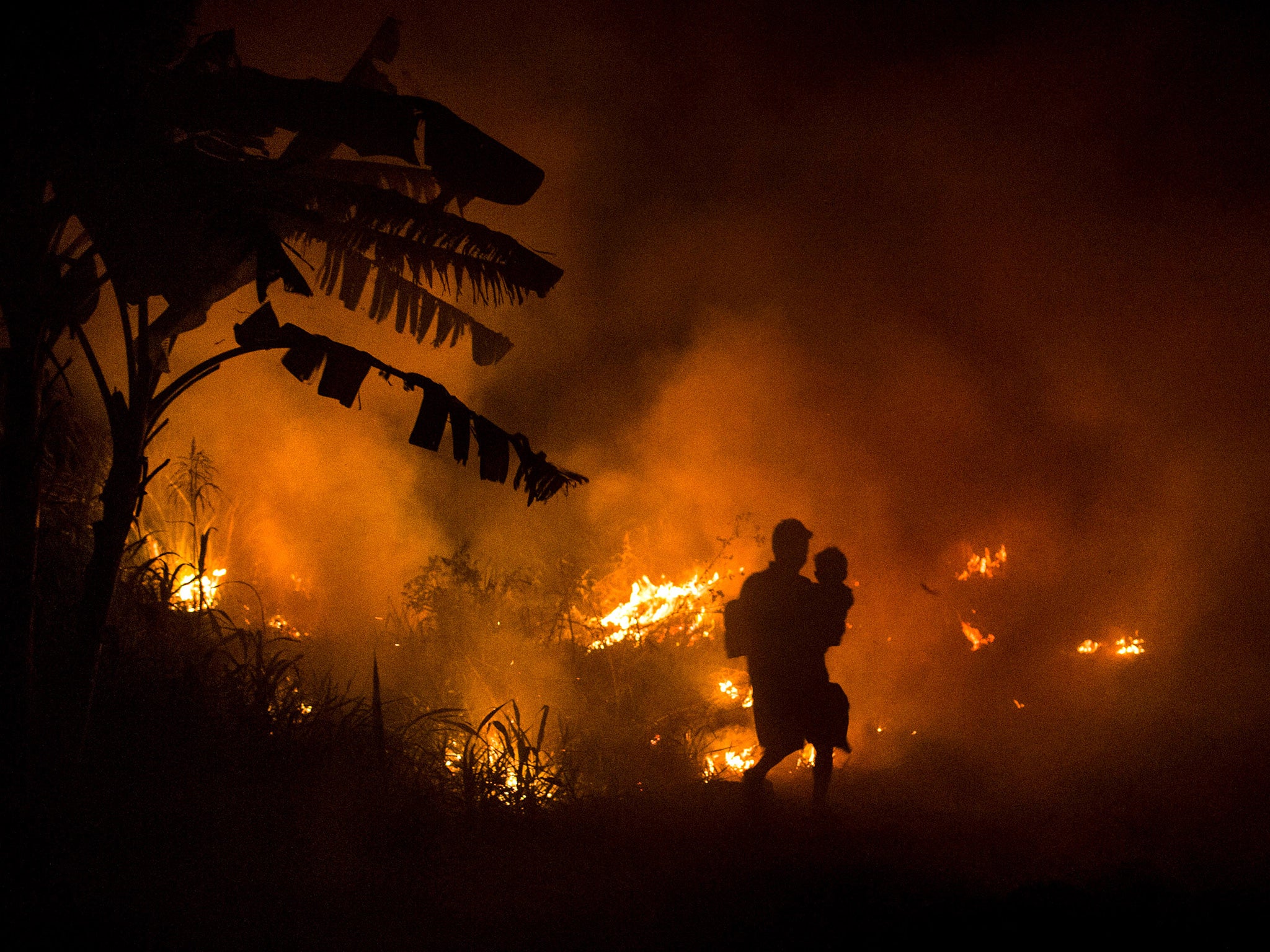 A forest fire in South Sumatra