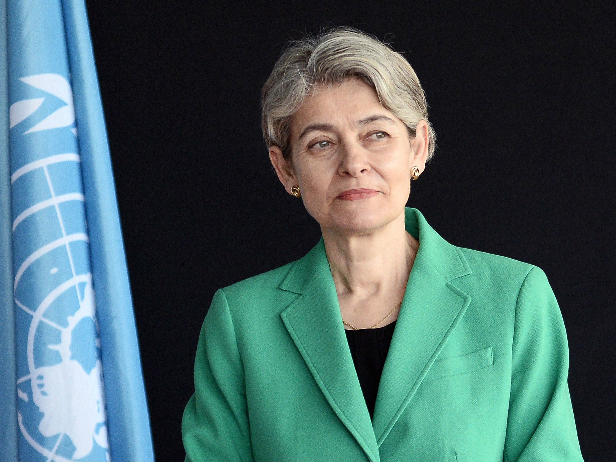 Ms Bokova said the world had been "stunned" by the scale of the destruction of heritage sites by Islamist terror groups