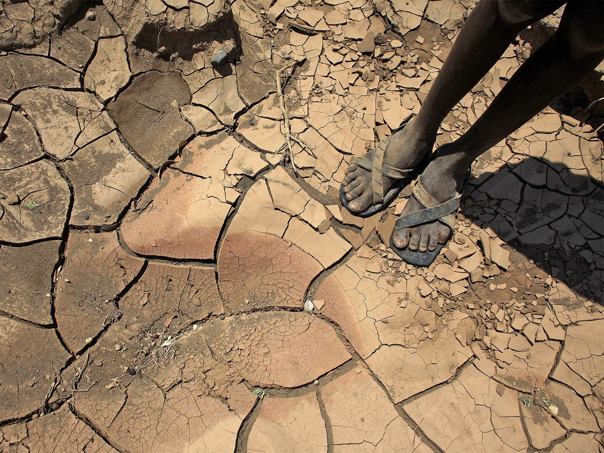 &#13;
A dried up river bed near Lodwar, Kenya &#13;