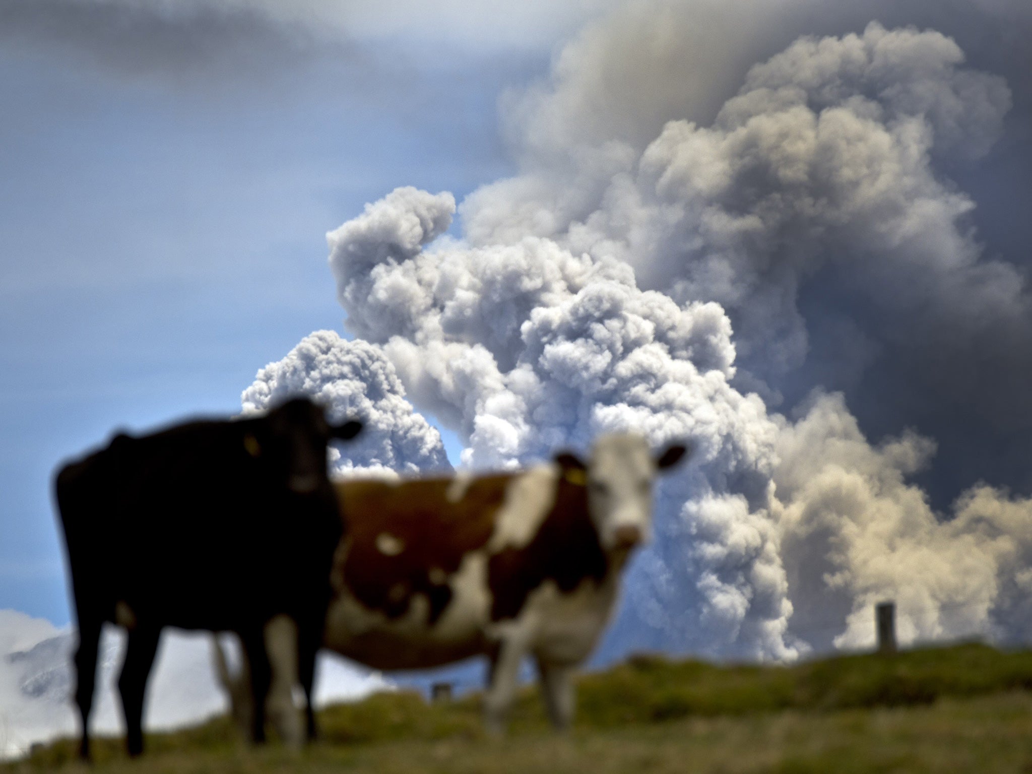 A huge volcanic eruption in Siberia is thought to have caused the first Great Dying 252 million years ago