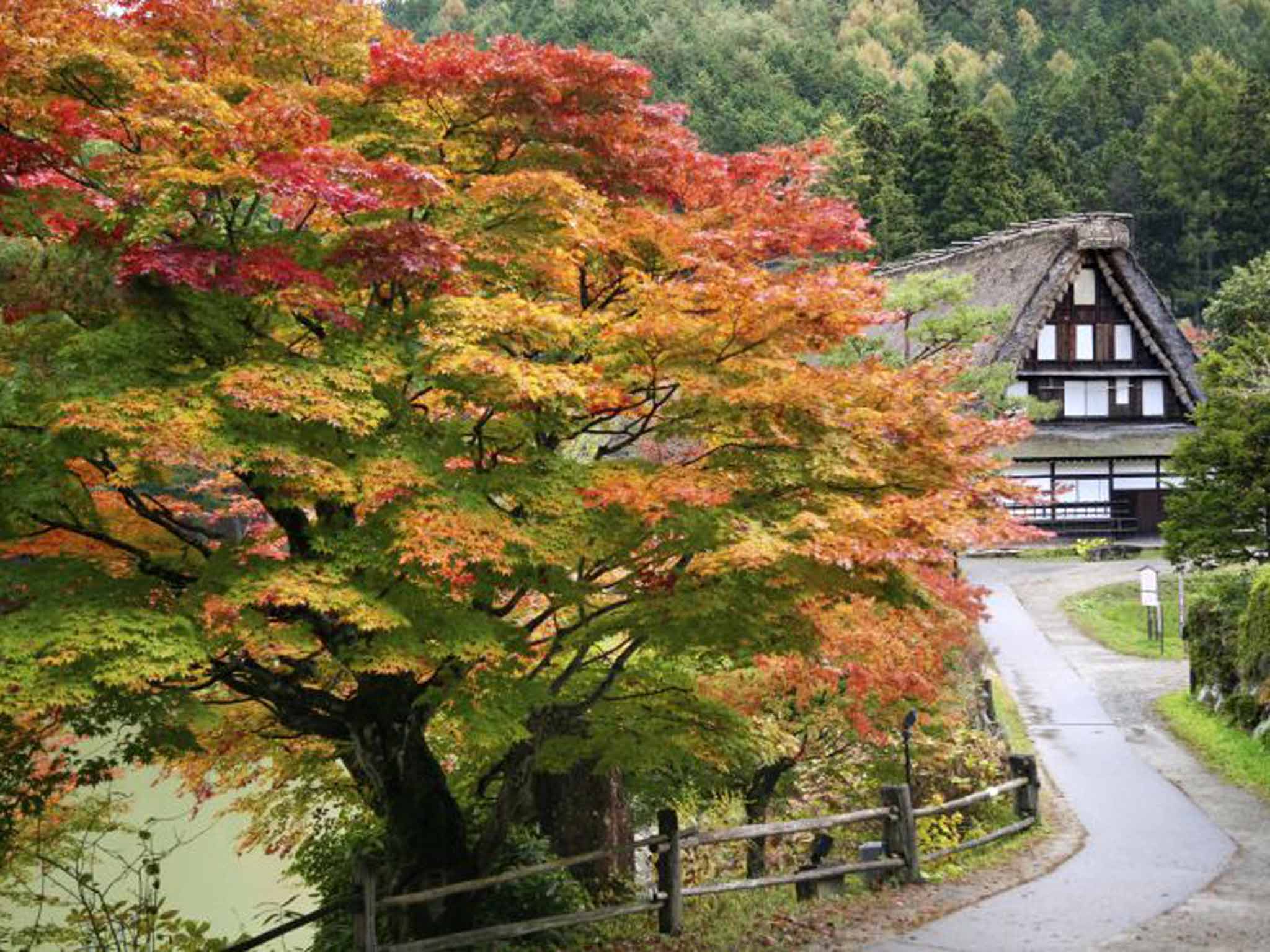 Centuries old wooden buildings