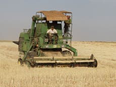 Syrian civil war: Svalbard 'doomsday' seeds transferred to Lebanon to preserve Syria's crop heritage