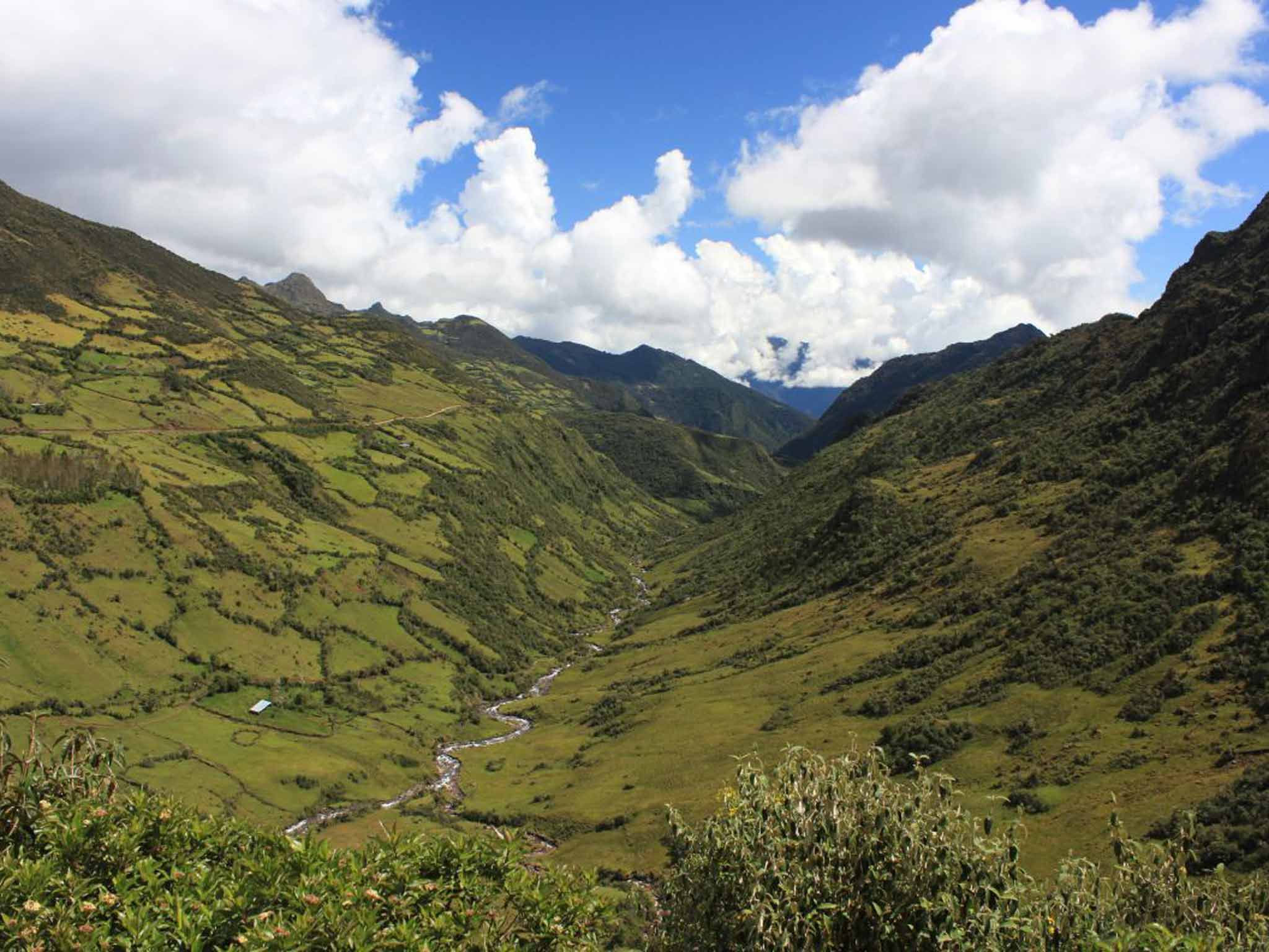 &#13;
The Pampaconas Valley. Hugh Thomson&#13;