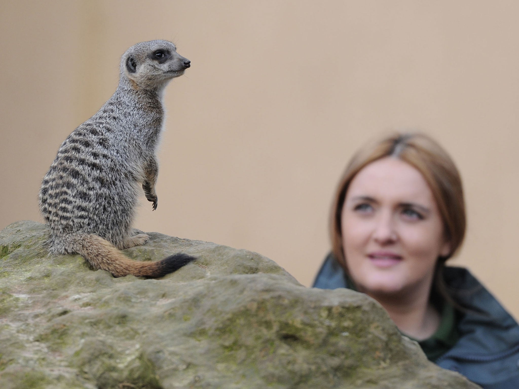 Former zoo keeper Caroline Westlake during the annual stocktake at London Zoo