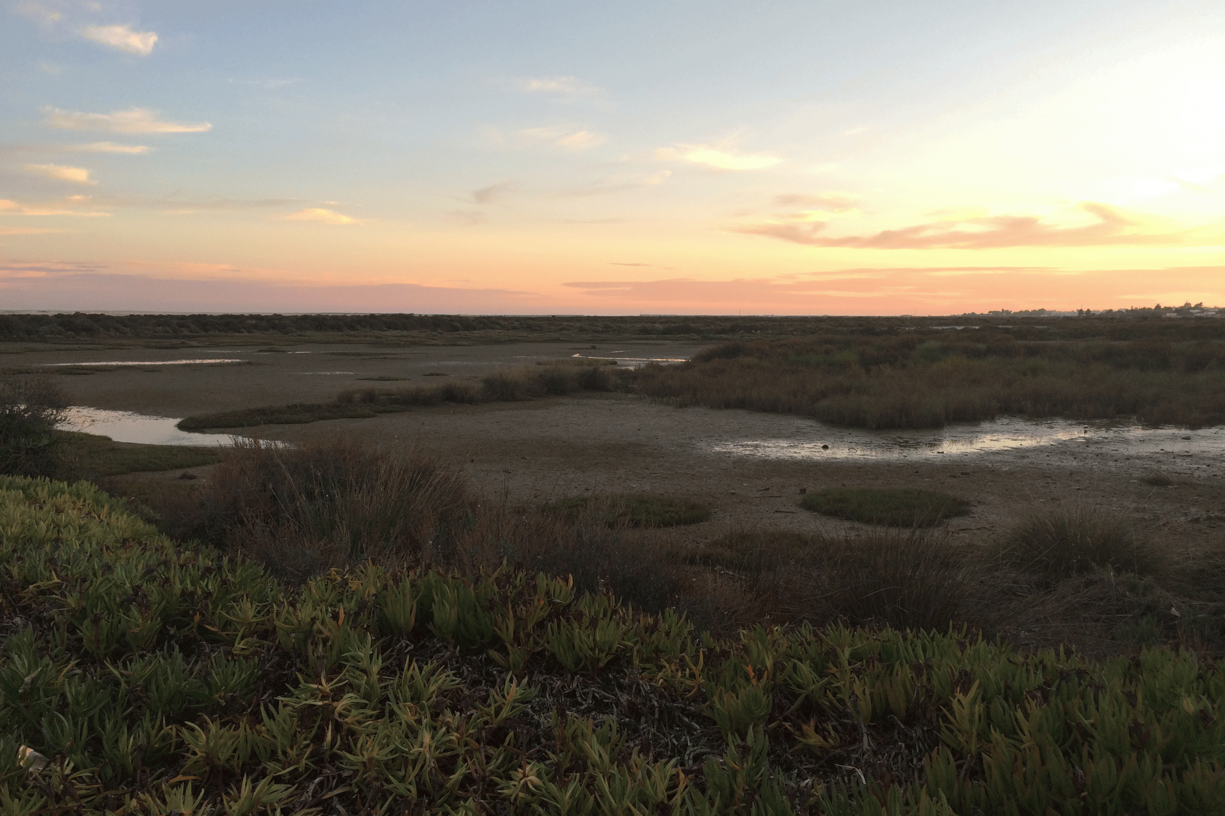 The marshy Ria Formosa