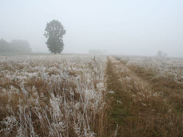 The UK could feel the chill this weekend. A meadow in London was covered in frost earlier this month