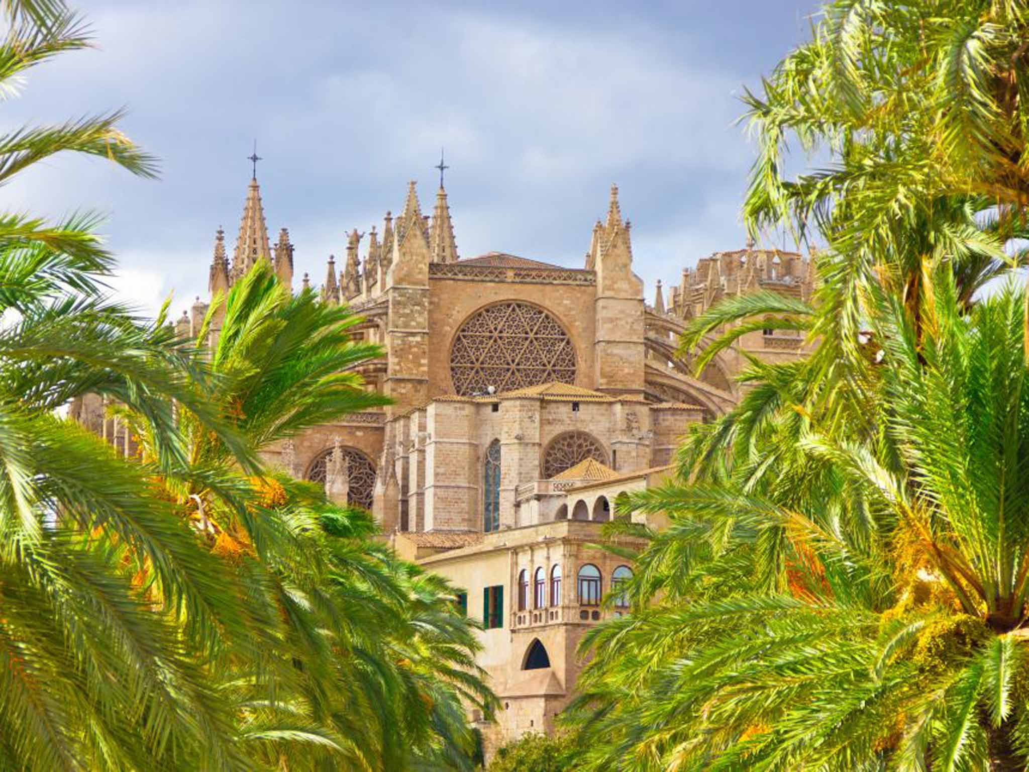 La Seu rises above the tree canopy