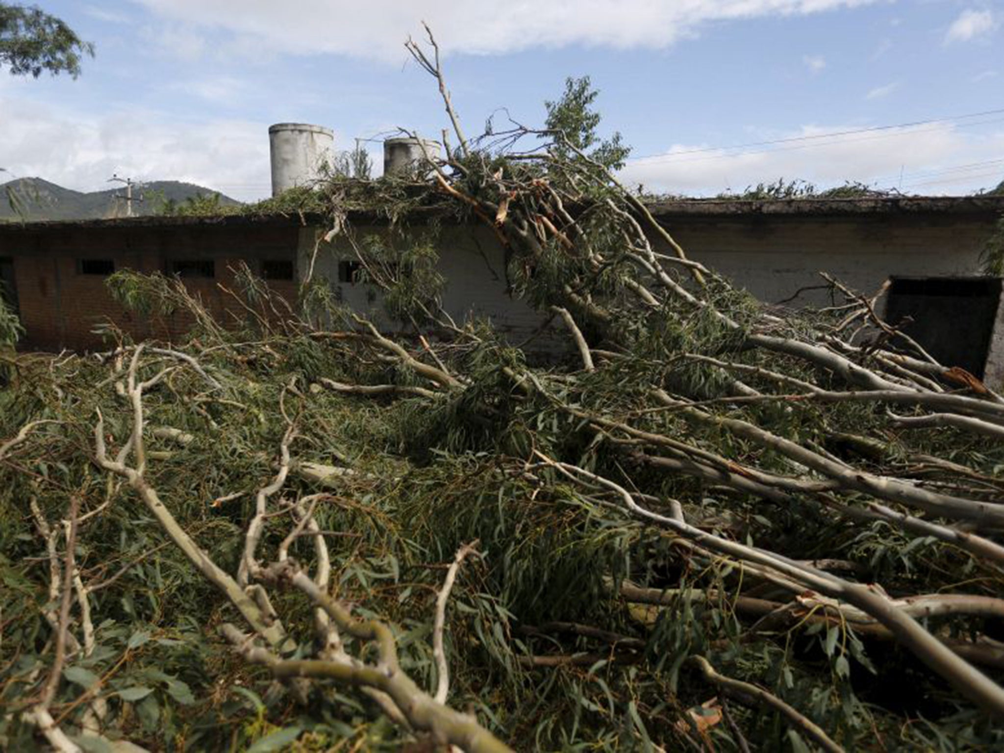 Although trees were uprooted, streets flooded and telephone poles downed, measures such as boarding up windows and moving into shelters meant there was no loss of life