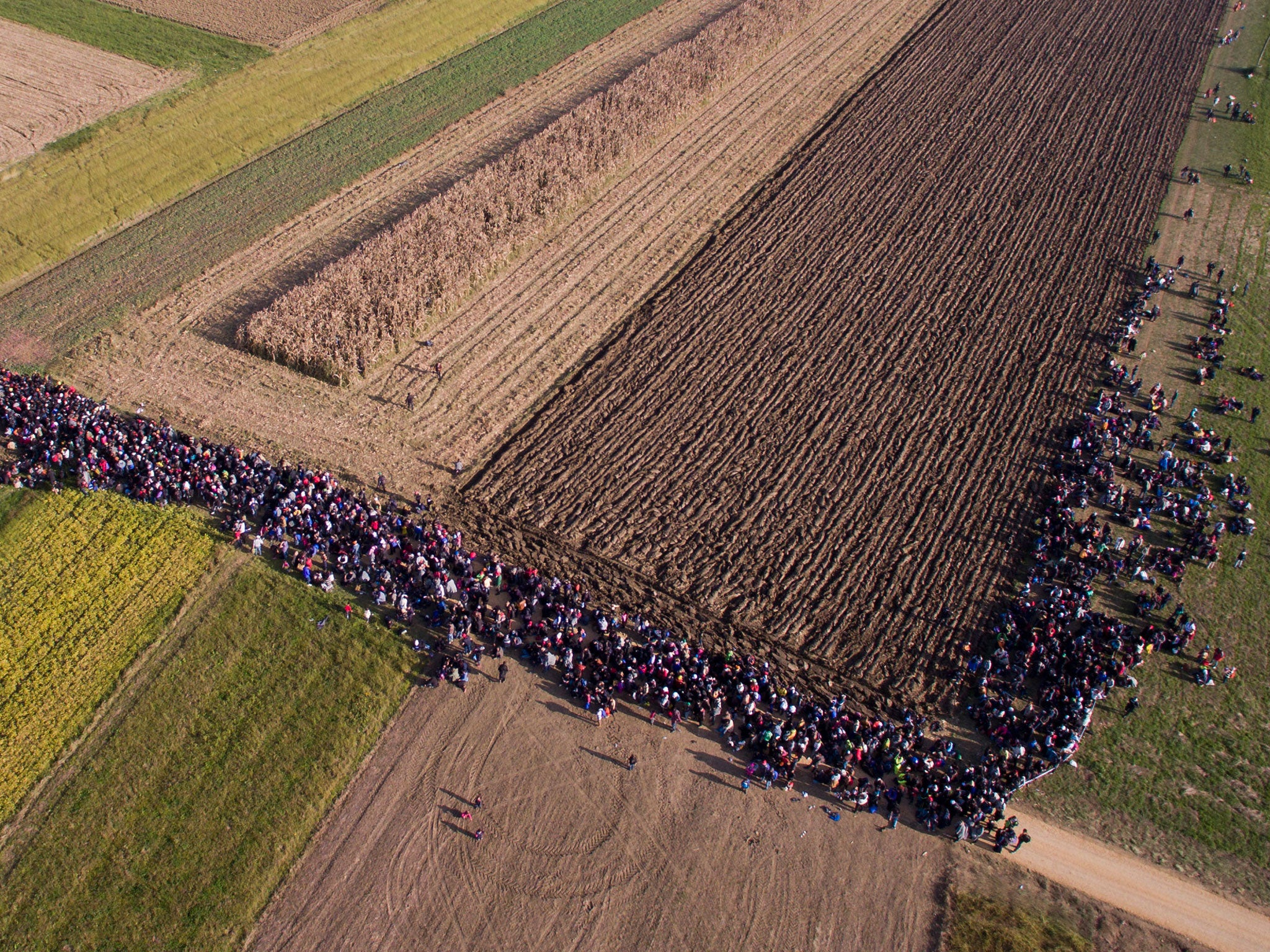 Refugees walk through fields in Romania after crossing from Croatia