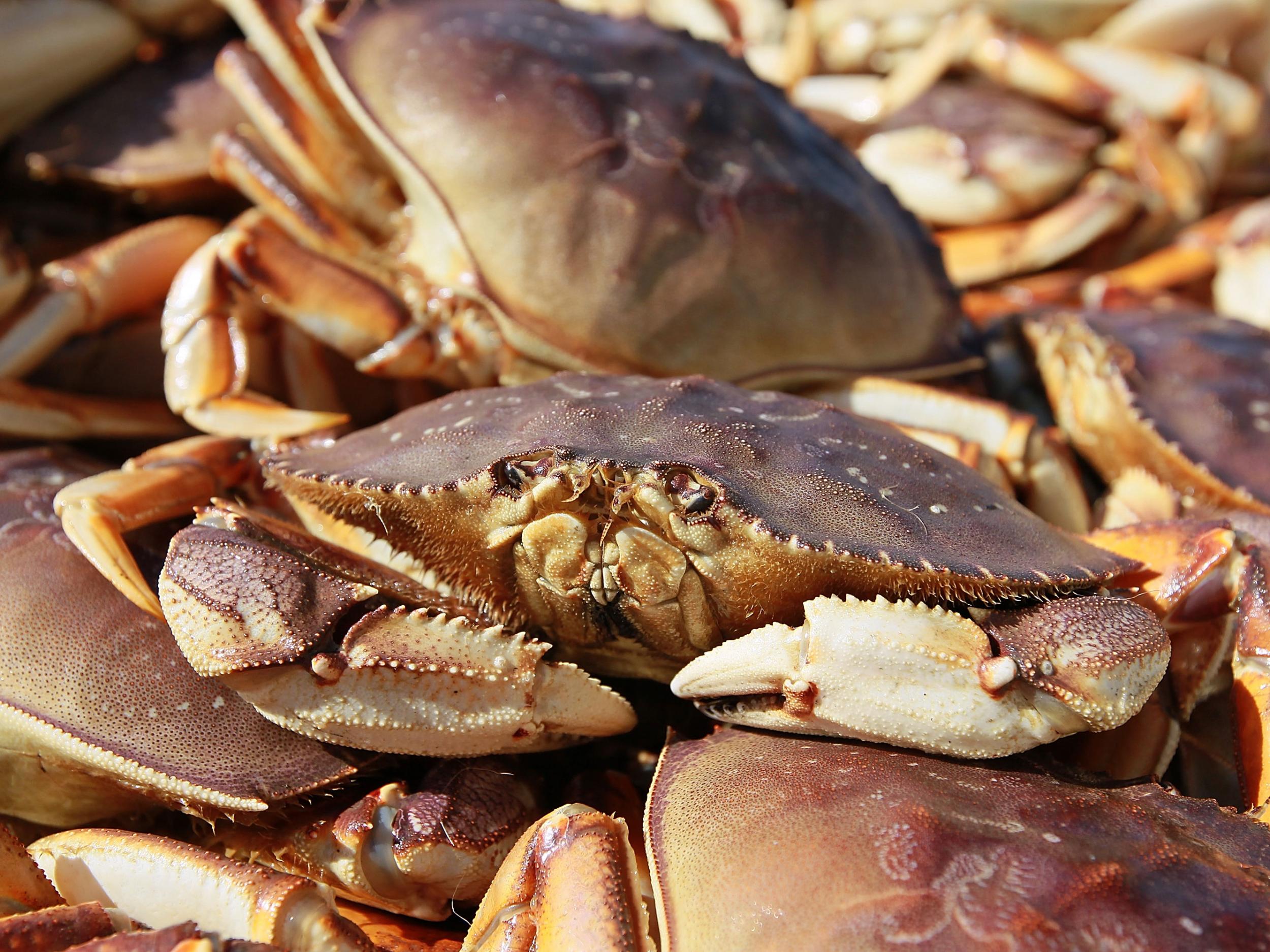 The crabs could reportedly be seen moving inside the packaging