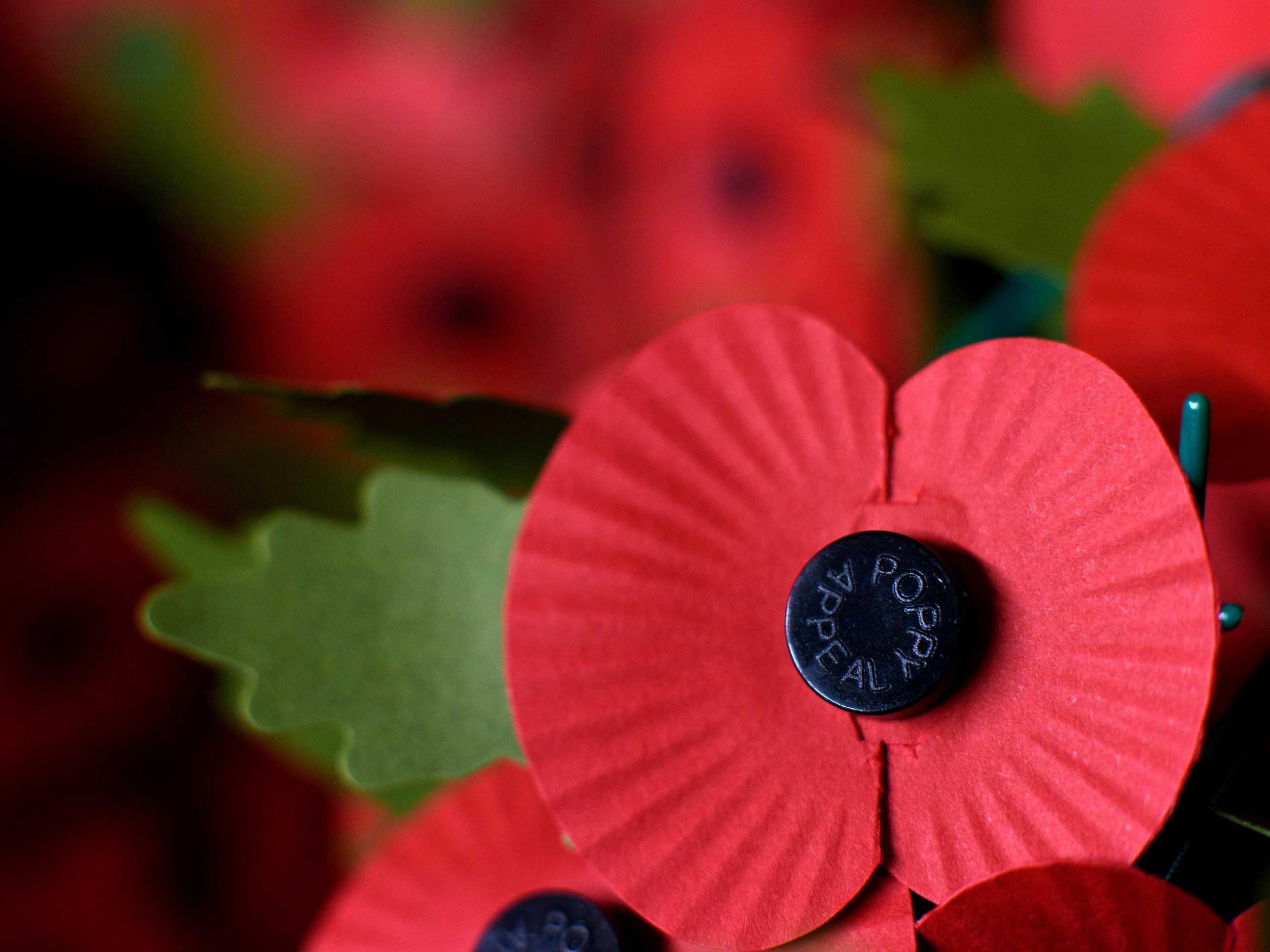 The poppy is worn each year by millions of people as a symbol of remembrance