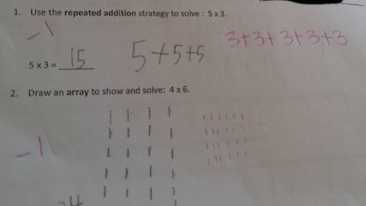 The maths questions were posted online, polarising opinion