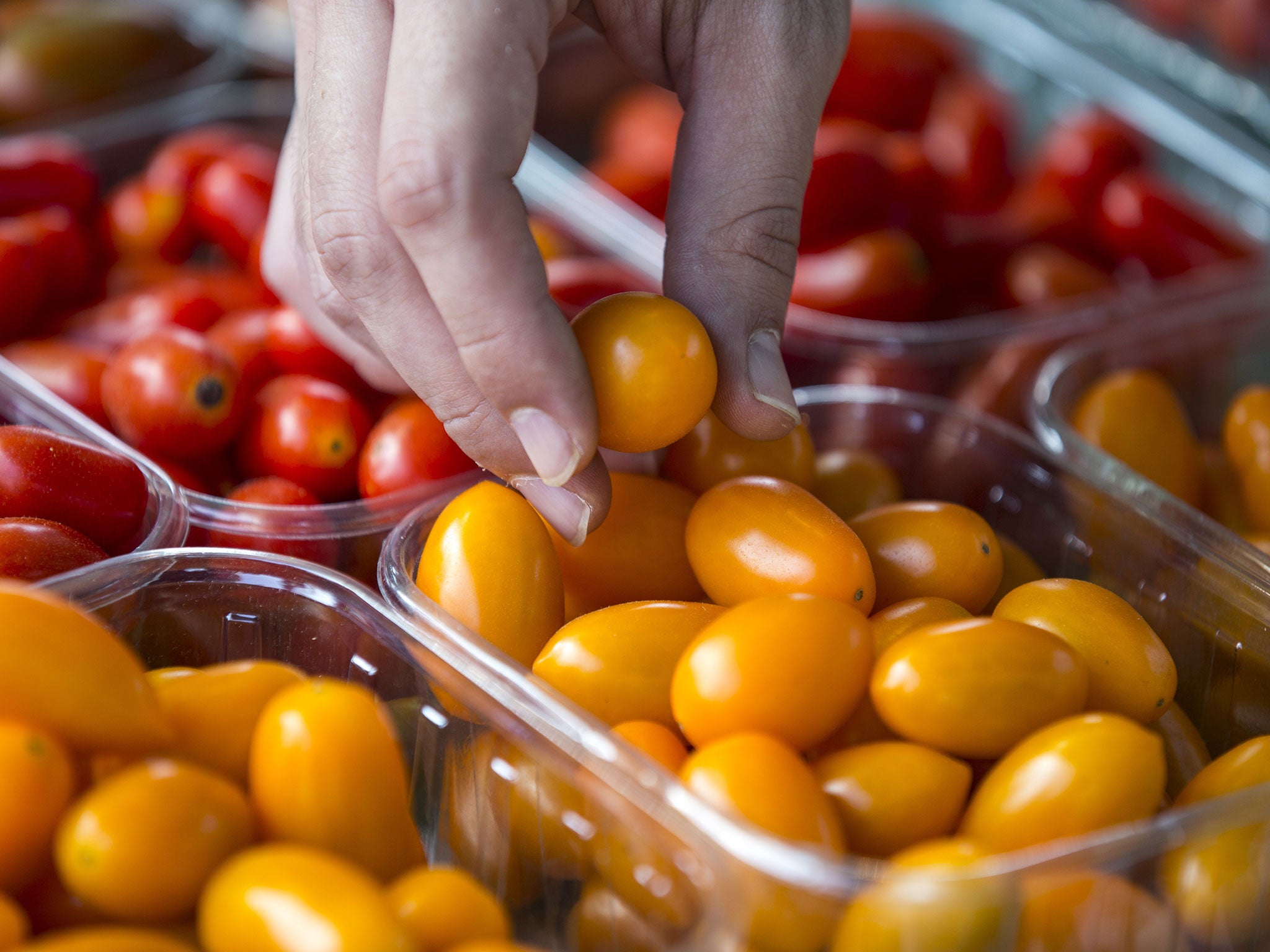 Tomatoes