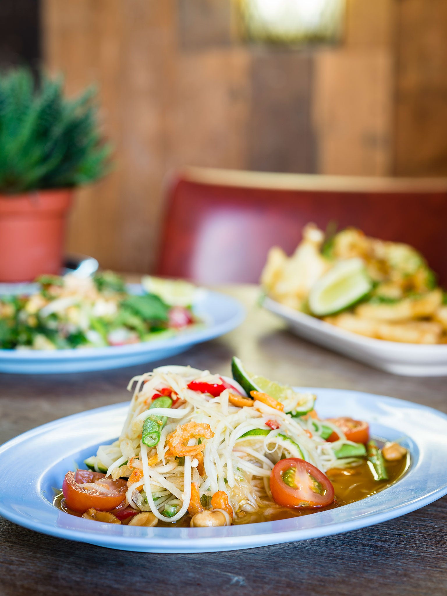 &#13;
&#13;
A Thai salad with fennel, turnip , leek and courgette &#13;