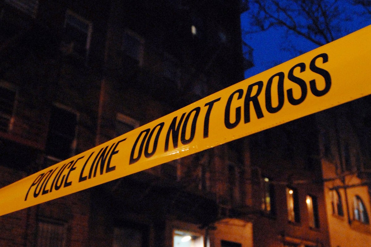 New York man arrested for stabbing his girlfriend to death and attacking her teen son in their Bronx apartment