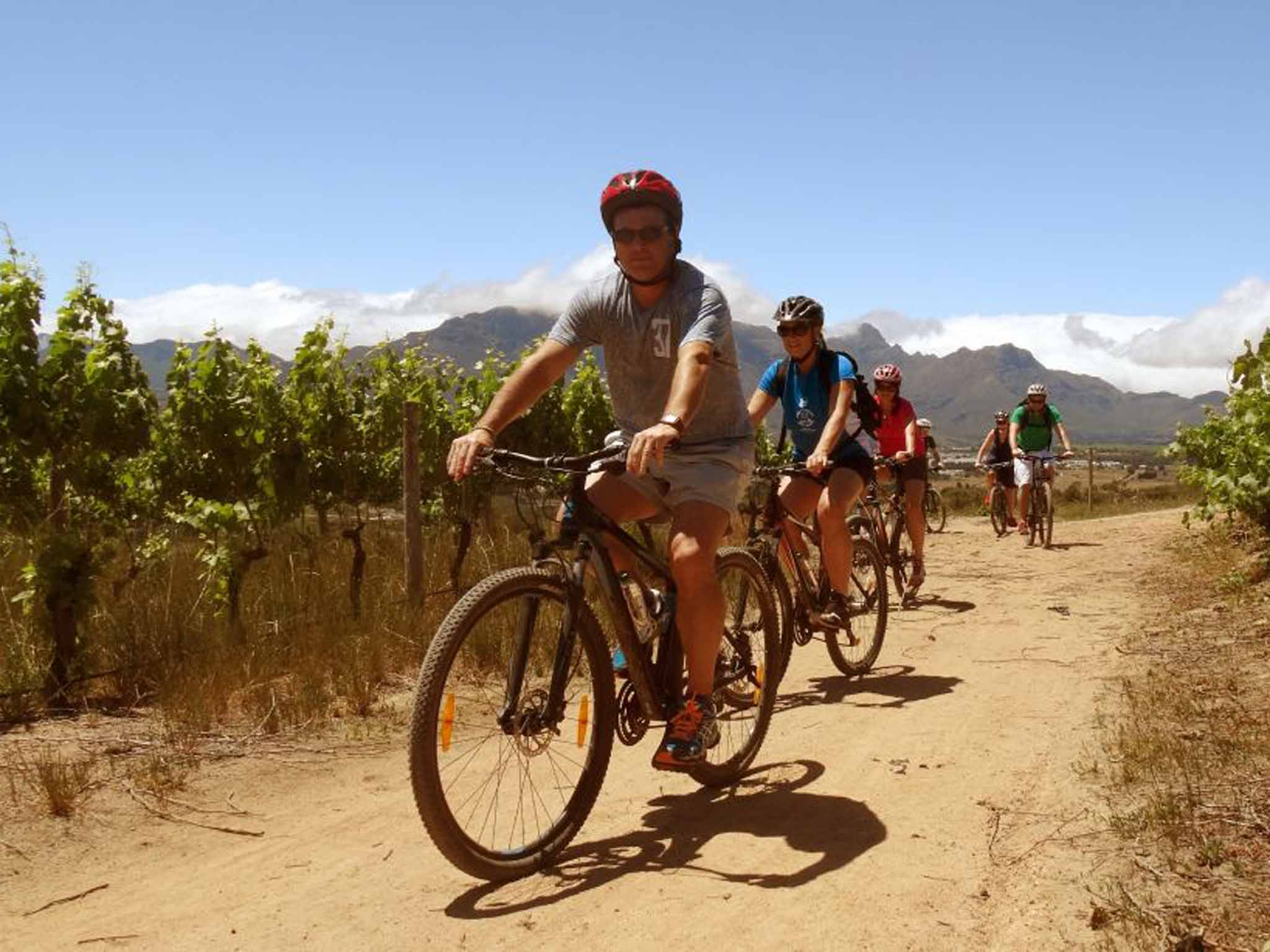 Pedal and press: Wine tours on two wheels in South Africa