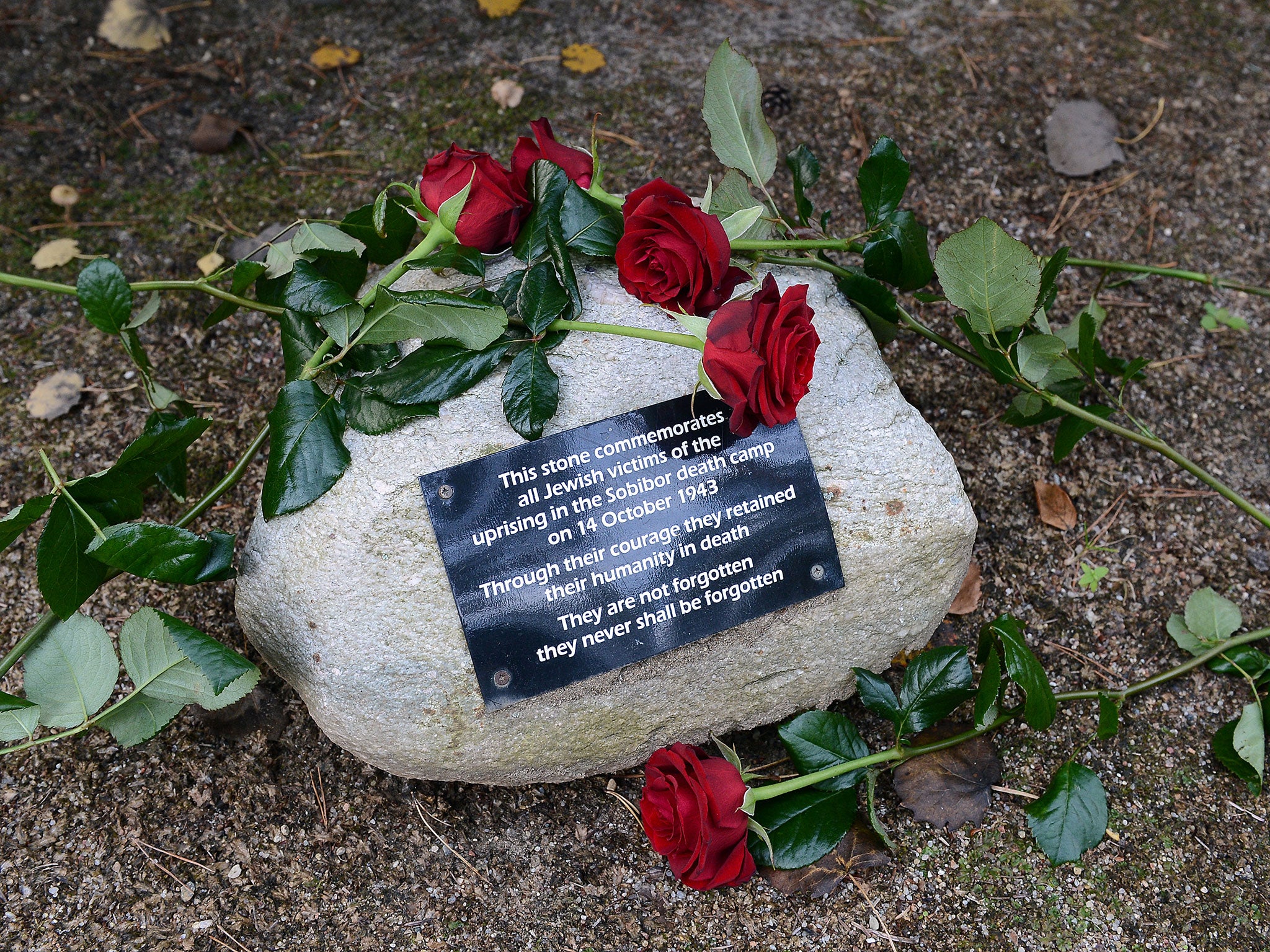 Flowers were laid in the woods next to the Sobibór World War II Nazi extermination camp on 14 October, 2013 to commemorate the 70th anniversary of an uprising in the camp