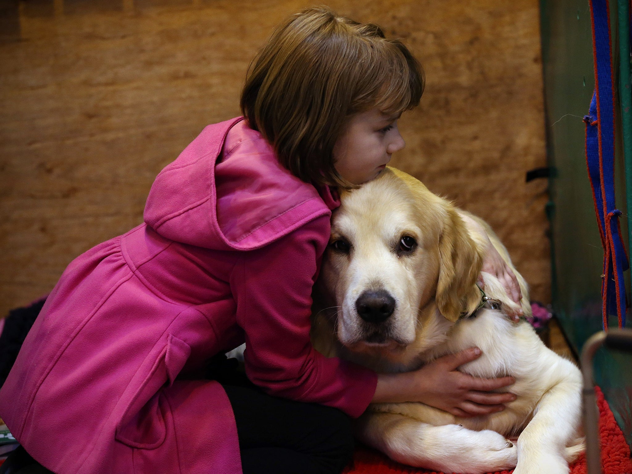 Children who have grown up with dogs in the house since birth have about a 15 per cent decreased risk of asthma by the time they attend school compared with children whose families did not have a dog