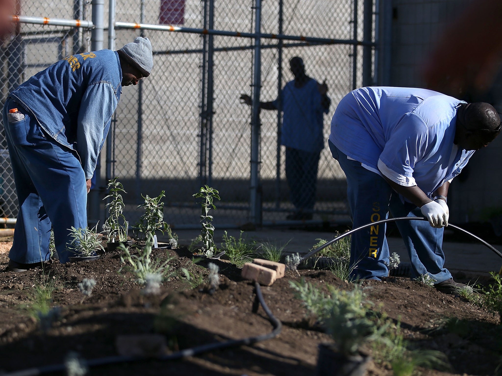 The largest early-release of federal prisoners in US history has involved as many as 6,600 inmates serving time for non-violent drug offenses