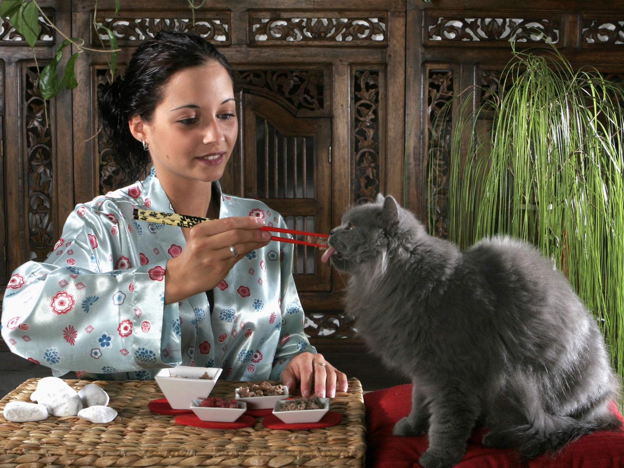 Cumberleylaude would certainly enjoy, and expect, this sort of culinary experience