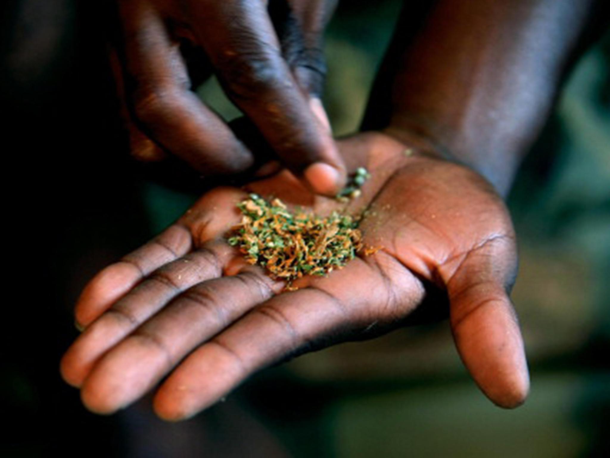 Whoonga is a combination of antiretroviral drugs, used to treat HIV, and various cutting agents such as detergents and poisons. The drug is widely available in South Africa due to South Africa’s high rate of HIV sufferers, and is believed to be popular due to how cheap it is when compared to prescribed antiretrovirals. The drug is highly addictive and can cause major health issues such as internal bleeding, stomach ulcers and ultimately death