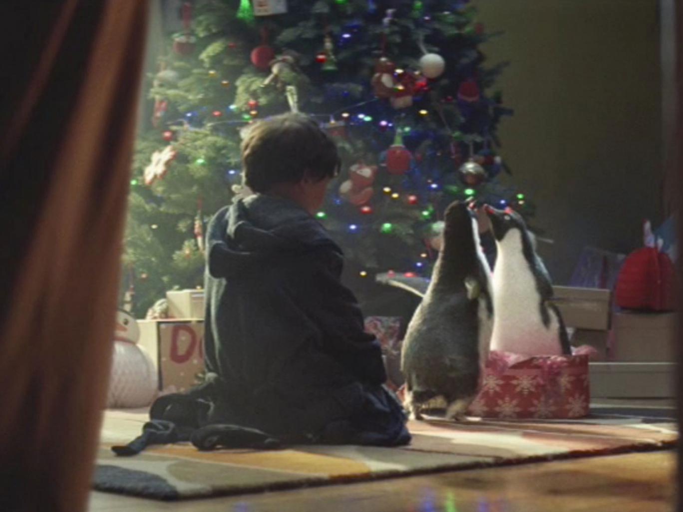 'Monty the Penguin' featured in the 2014 John Lewis festive advert.