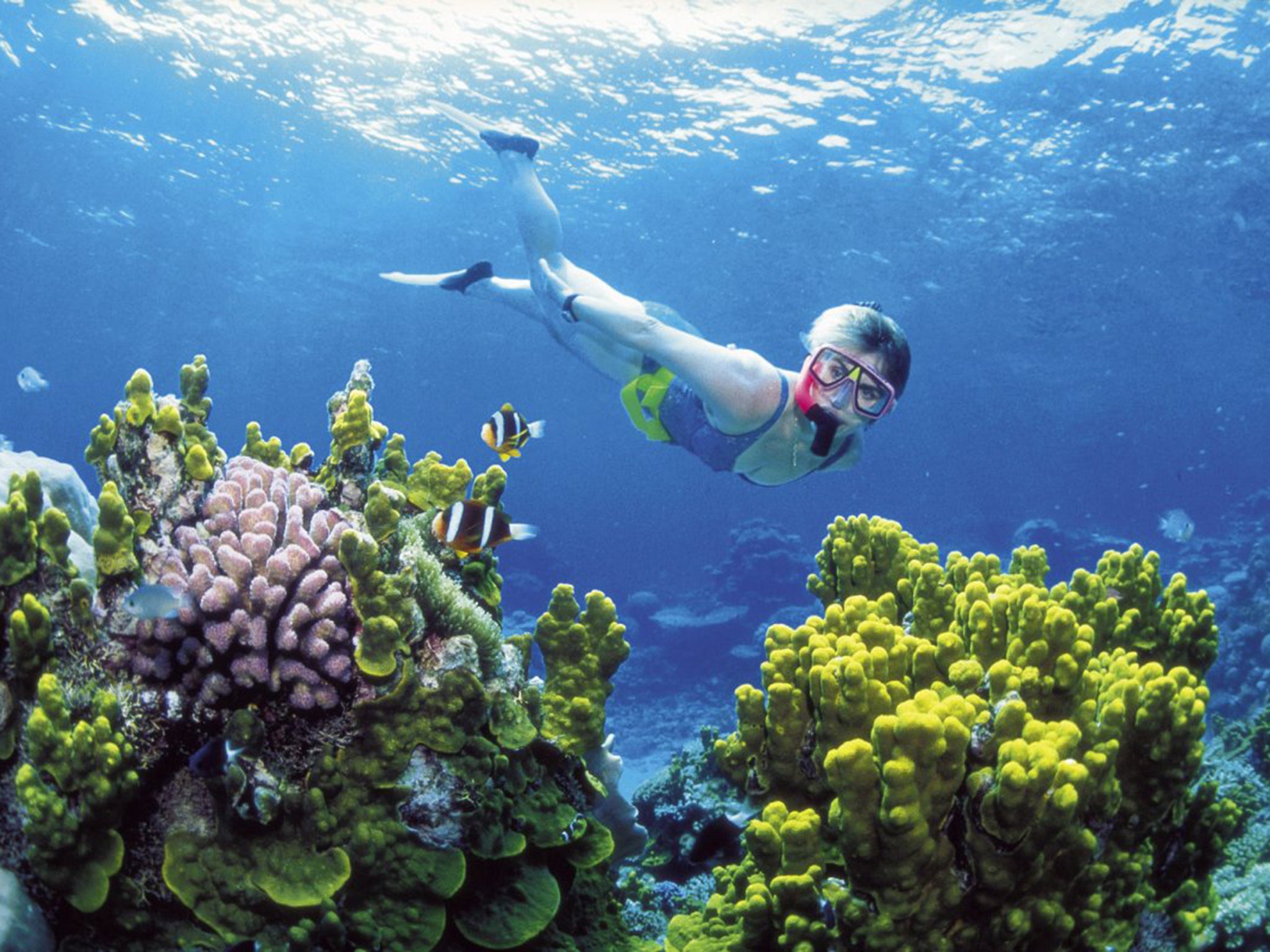 Cairns, Queensland’s gateway to the Great Barrier Reef