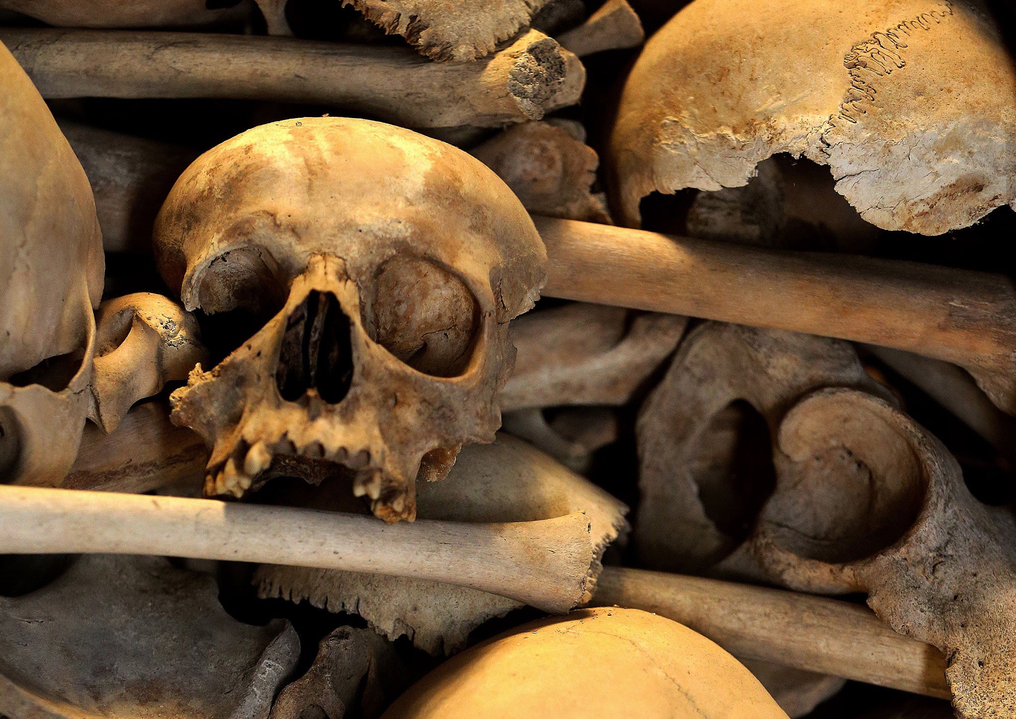 The skeletal remains of more than 150 Armenians killed during their exodus from persecutions by the Ottoman government in 1915 are displayed at the Saint Stephanos chapel in the Armenian Orthodox Archdiocese in Antelias