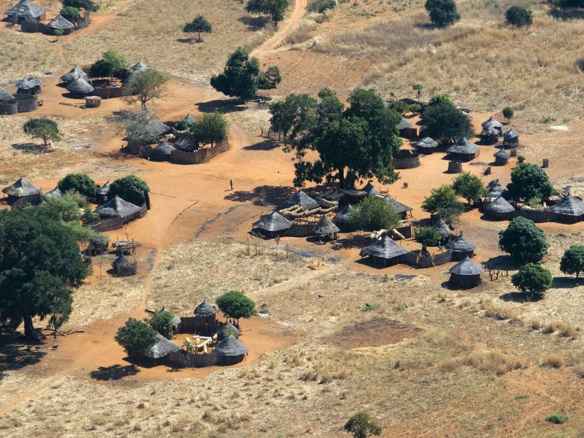 Zambian plains