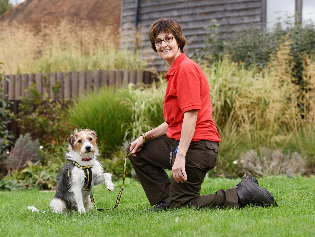 Archie and volunteer Marie-Helene Leoni