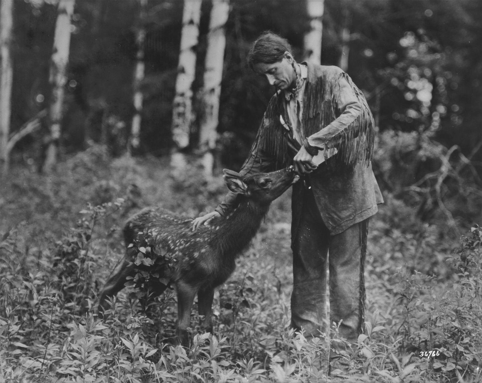 Grey Owl's passion for conservation lead to a celebrity status around the world