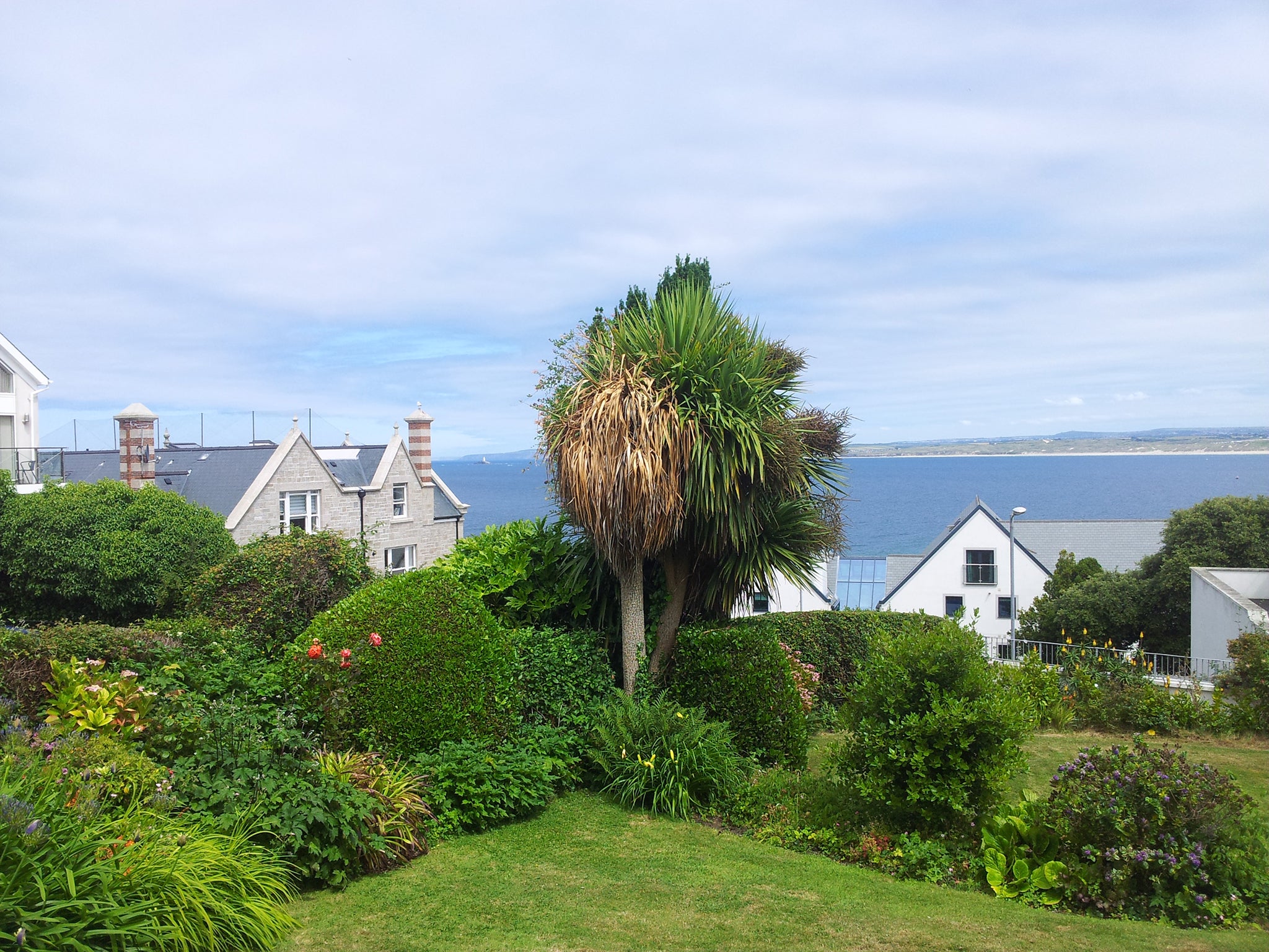 The view from Talland House, with Godrevy just visible in the distance (to the left of the tree in this image)