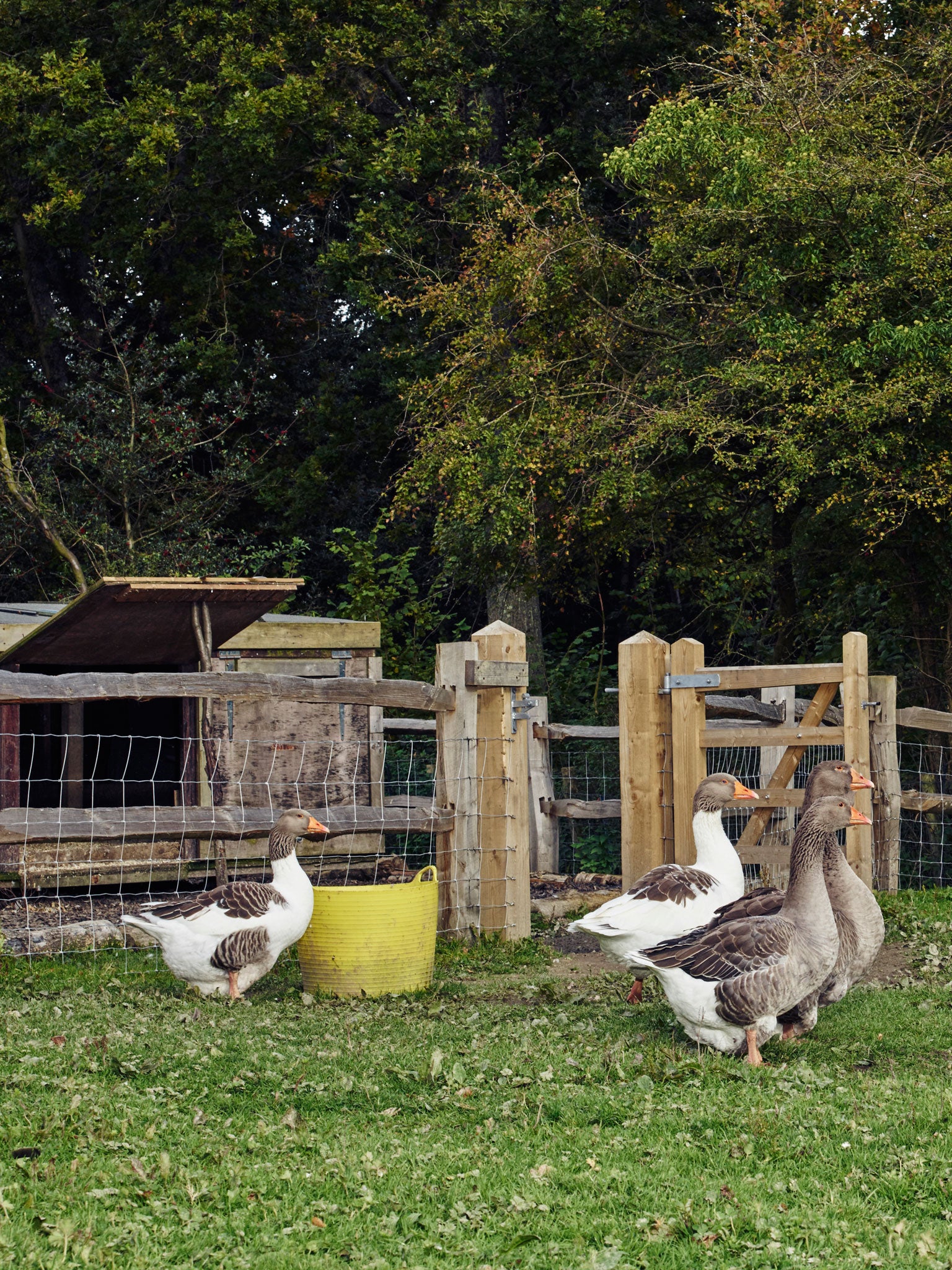 Estate agents are predicting that the value of agricultural land will continue to grow