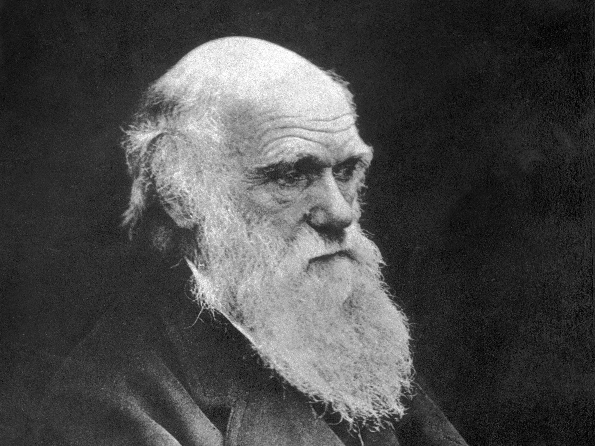 Charles Darwin