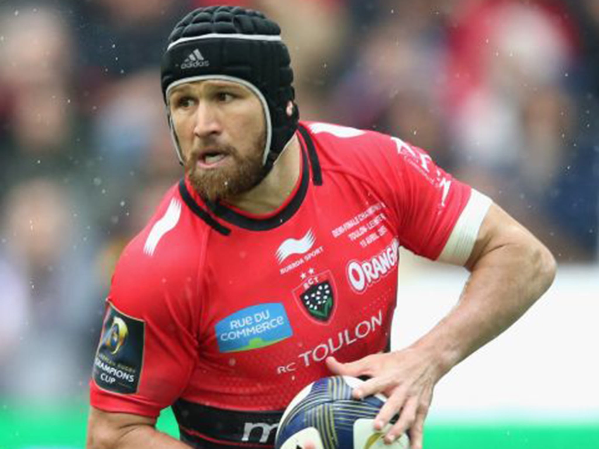 Matt Giteau, Toulon