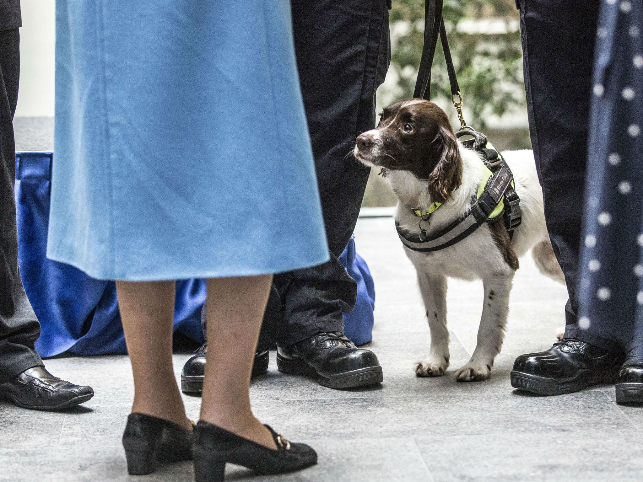 Ruby meets The Queen