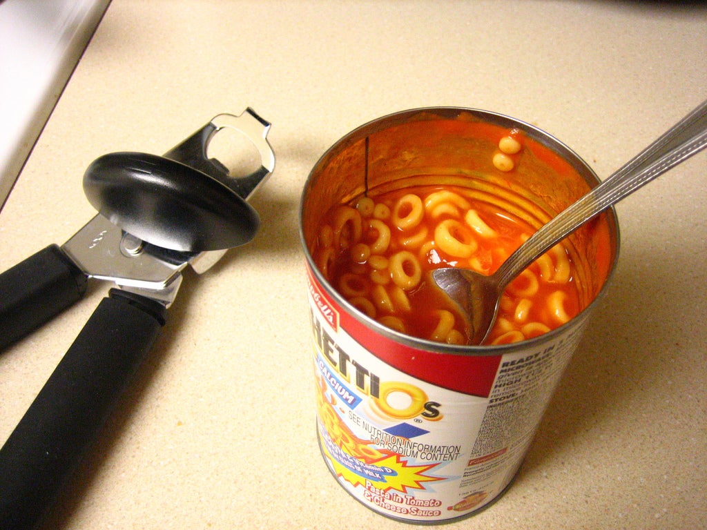 A succulent can of SpaghettiOs.