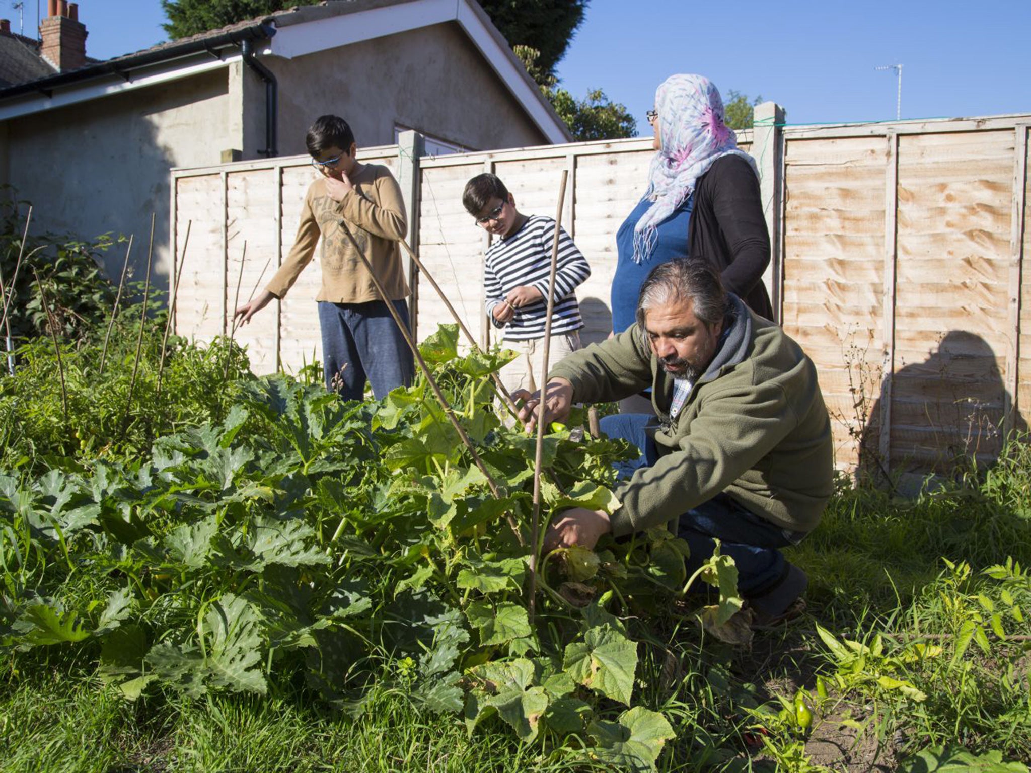 Hassan Ayo, his wife, Fatimah, and children, Zerdsht, 14, and, Zana, nine, tend their vegetables in their garden in Coventry