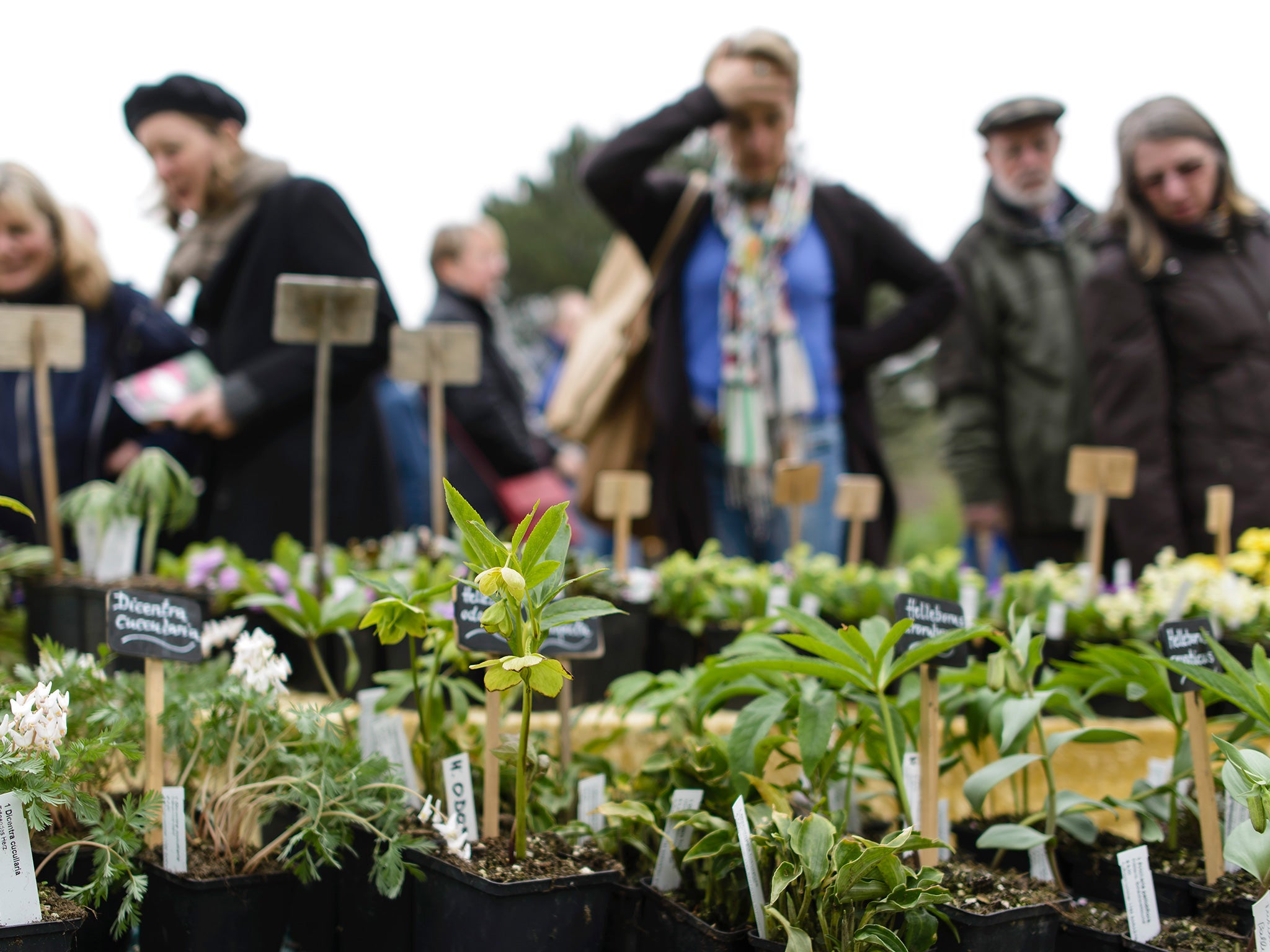 “This finding has serious implications for the uncritical use of specimen data from natural history collections"